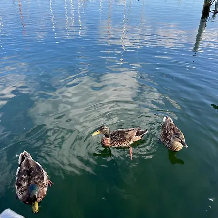 Maduco Waterfront * ニュボー