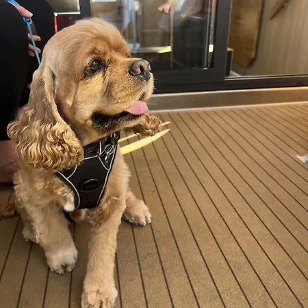 Hotel na wodzie Maduco Waterfront