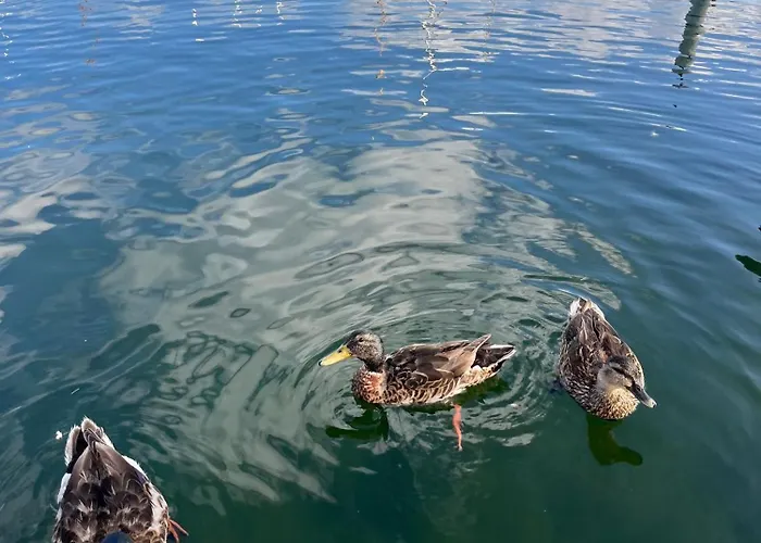 Maduco Waterfront * Nyborg